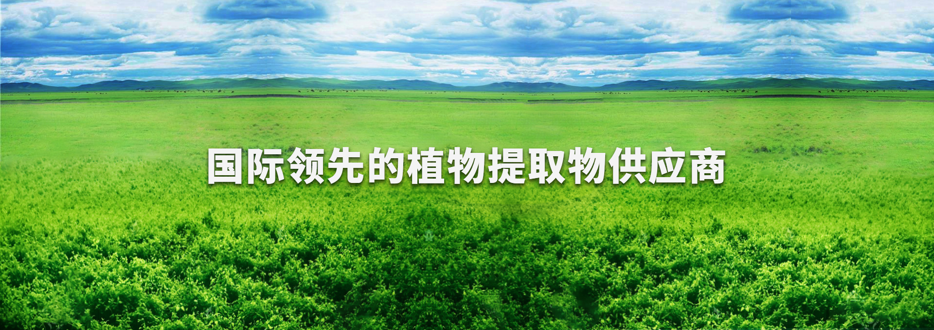 suncitygroup太阳集团--官方网站