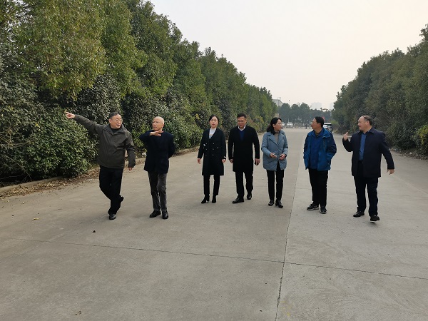 suncitygroup̫--ٷվ