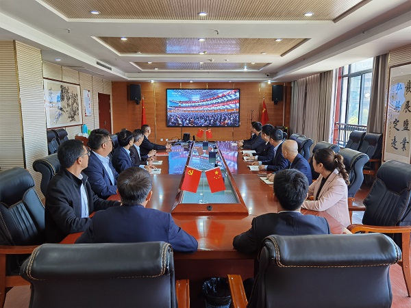 suncitygroup̫--ٷվ