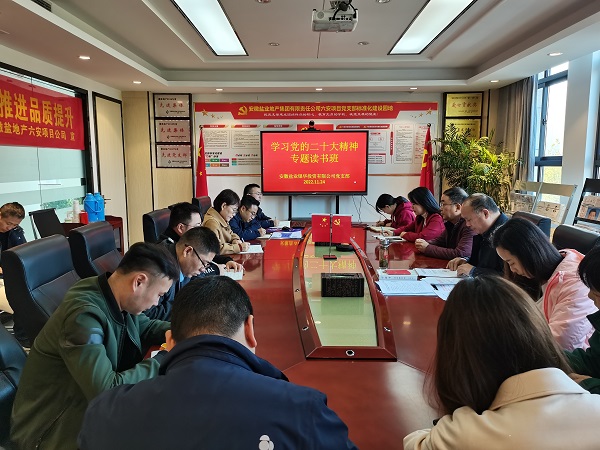 suncitygroup̫--ٷվ