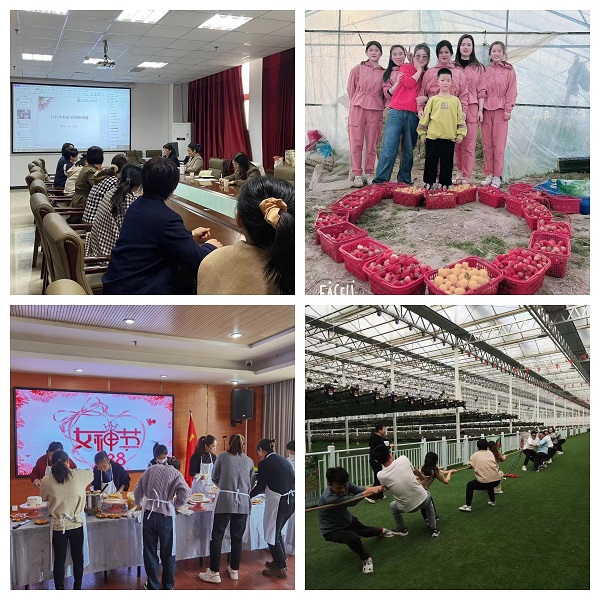 suncitygroup̫--ٷվ