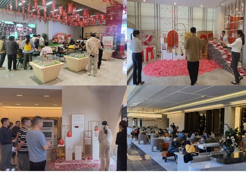 suncitygroup̫--ٷվ