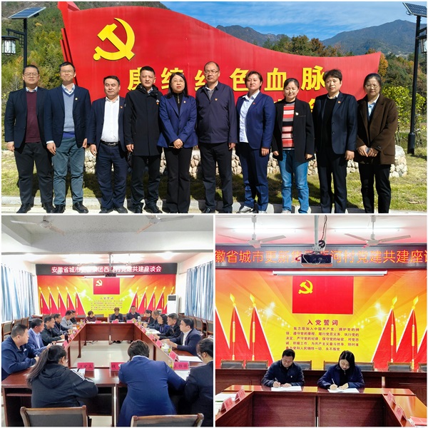 suncitygroup̫--ٷվ